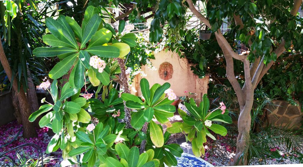 Capo dʼOrlando B&B Le Terrazze מראה חיצוני תמונה